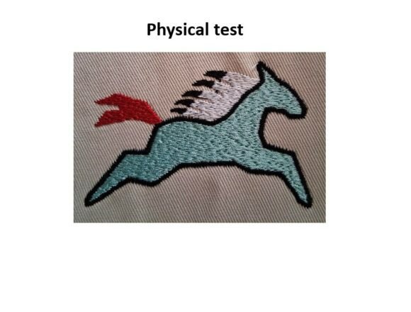 Native Horse Embroidery Design Review
